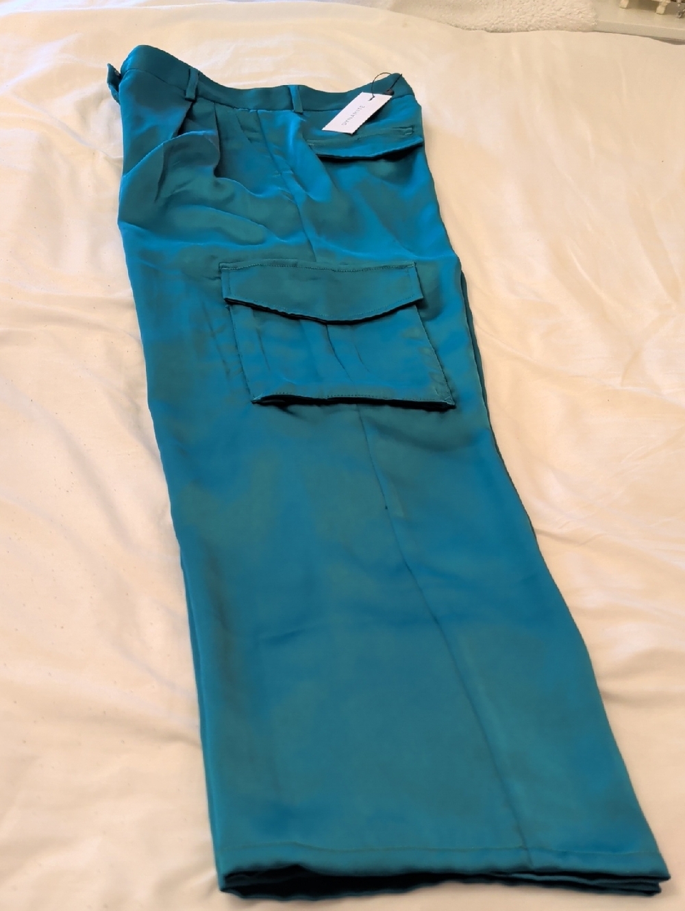 Dynamite Teal Cargo Pants